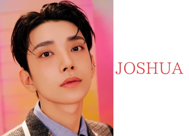 SEVENTEEN メンバー 人気順 ジョシュア